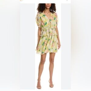 Size US 12. Ted Baker London Isabella Mini floral dress.  NWT